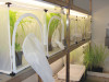 Aralab-Insect-Rearing-Room-Butterfly-research