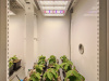 Aralab-Soy-growth-chamber