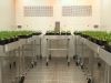 CÁMARAS DE CULTIVO ALTAS RADIACIONES