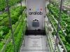 CÁMARAS DE CULTIVO HIDROPÓNICO 1
