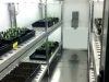 CÁMARAS DE CULTIVO VISITABLE 11